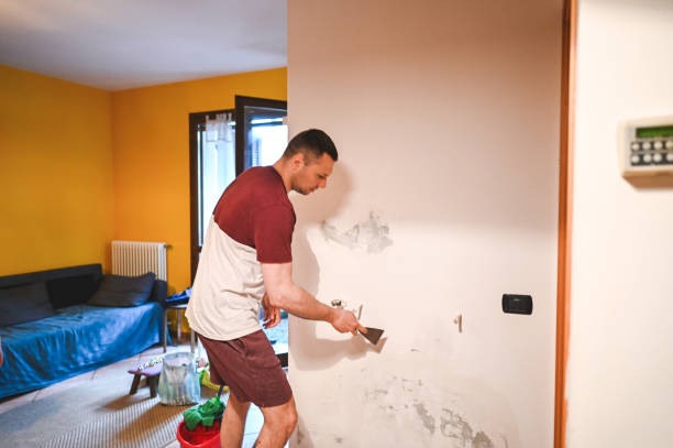 Reliable Graham, TX Mold Remediation Solutions